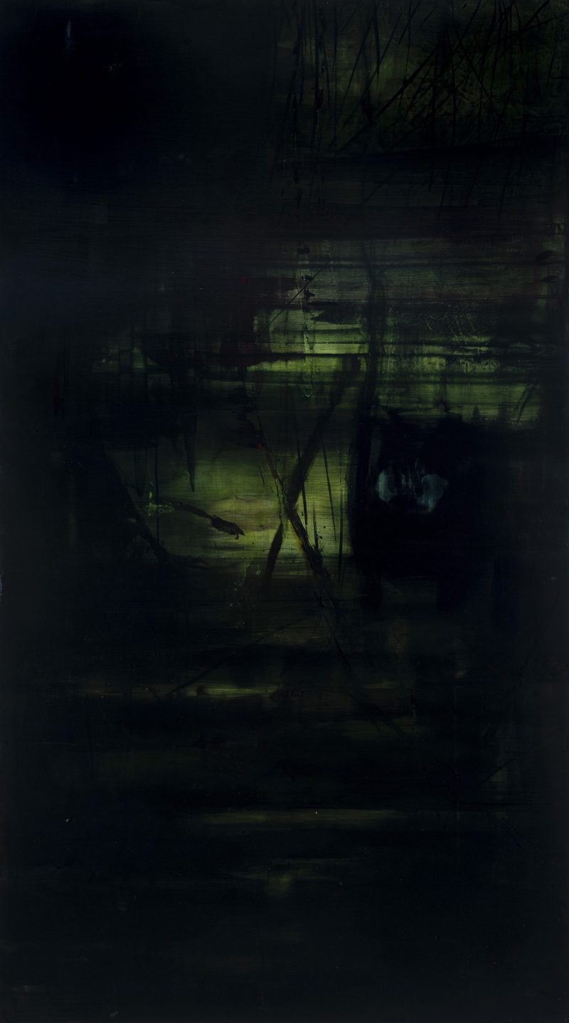 Waimamaku (tree fern waters)