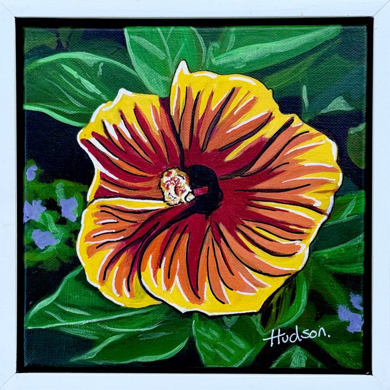 Red and Yellow Hibiscus