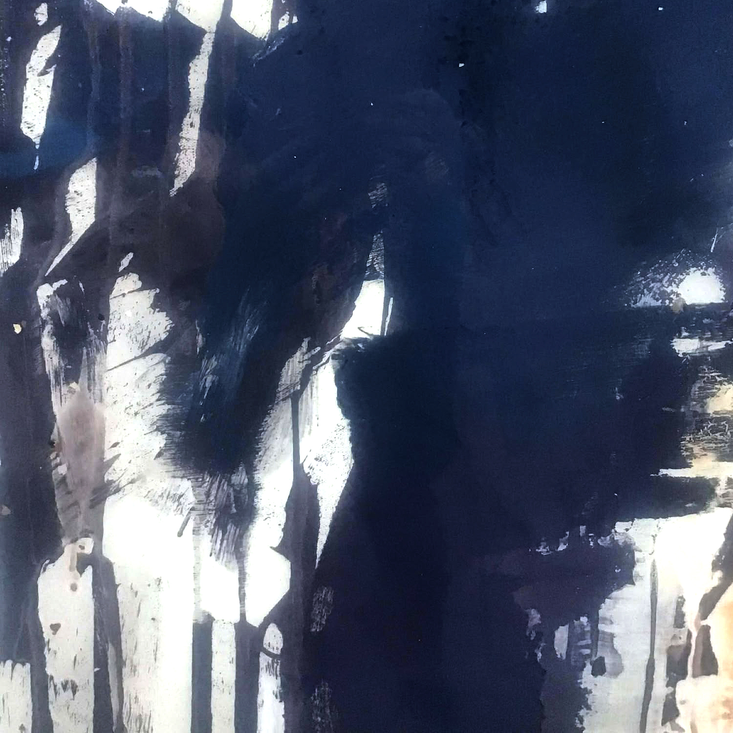 Fragmented Reflections 12