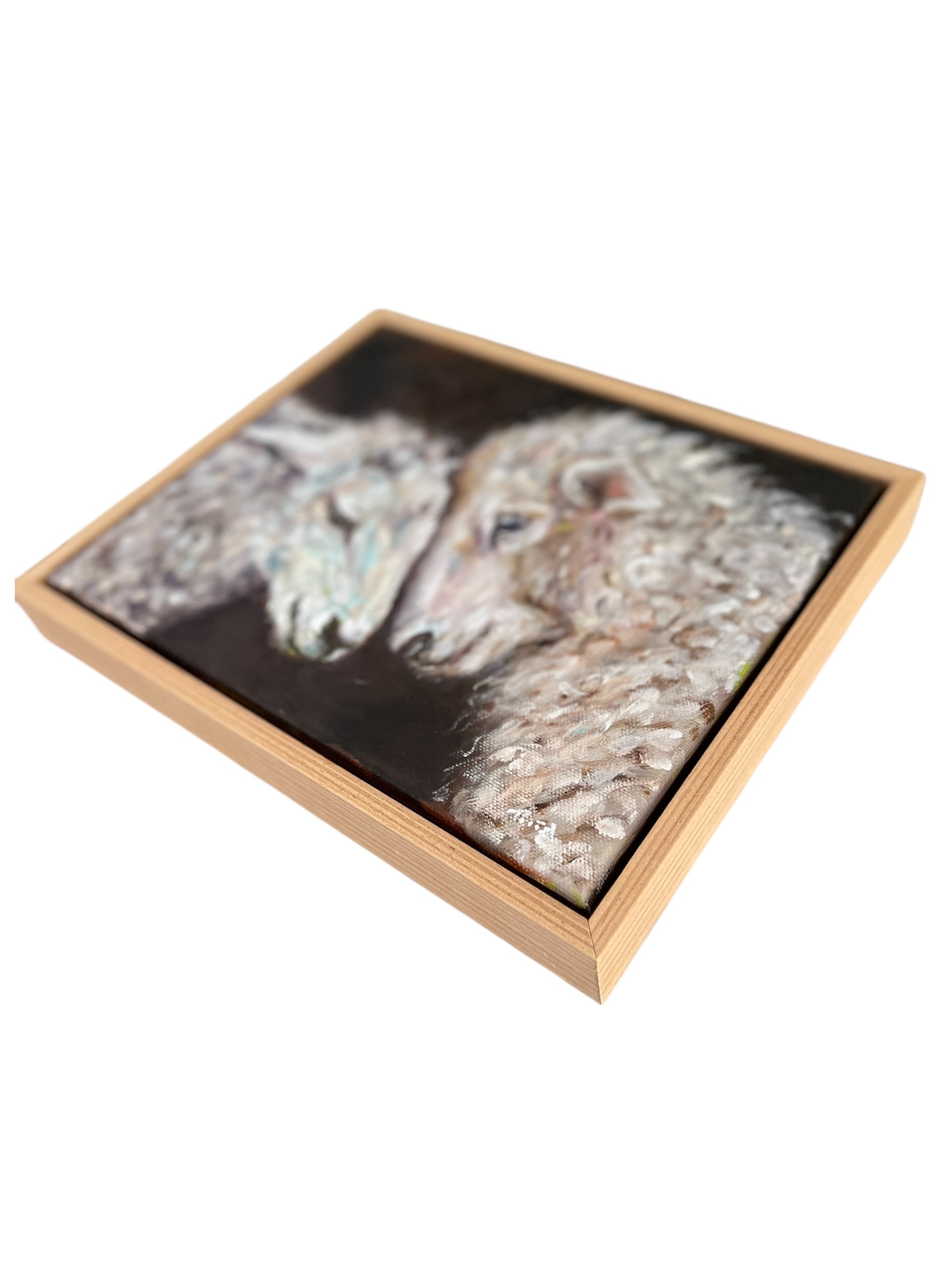 Photoroom 20260110 171528