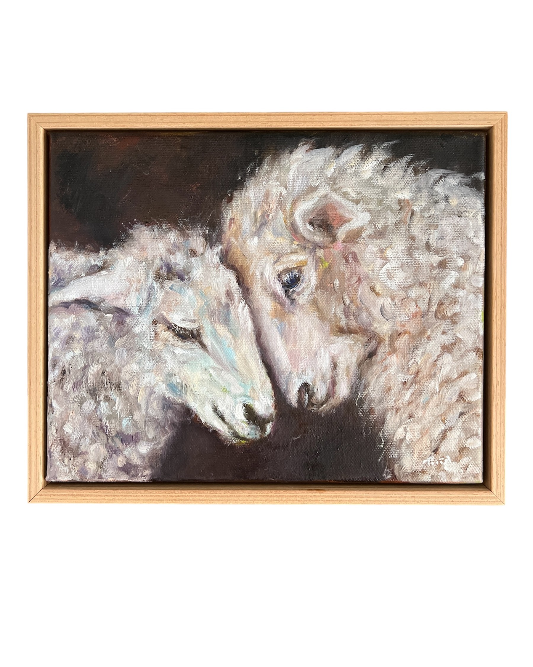 Photoroom 20260110 171551