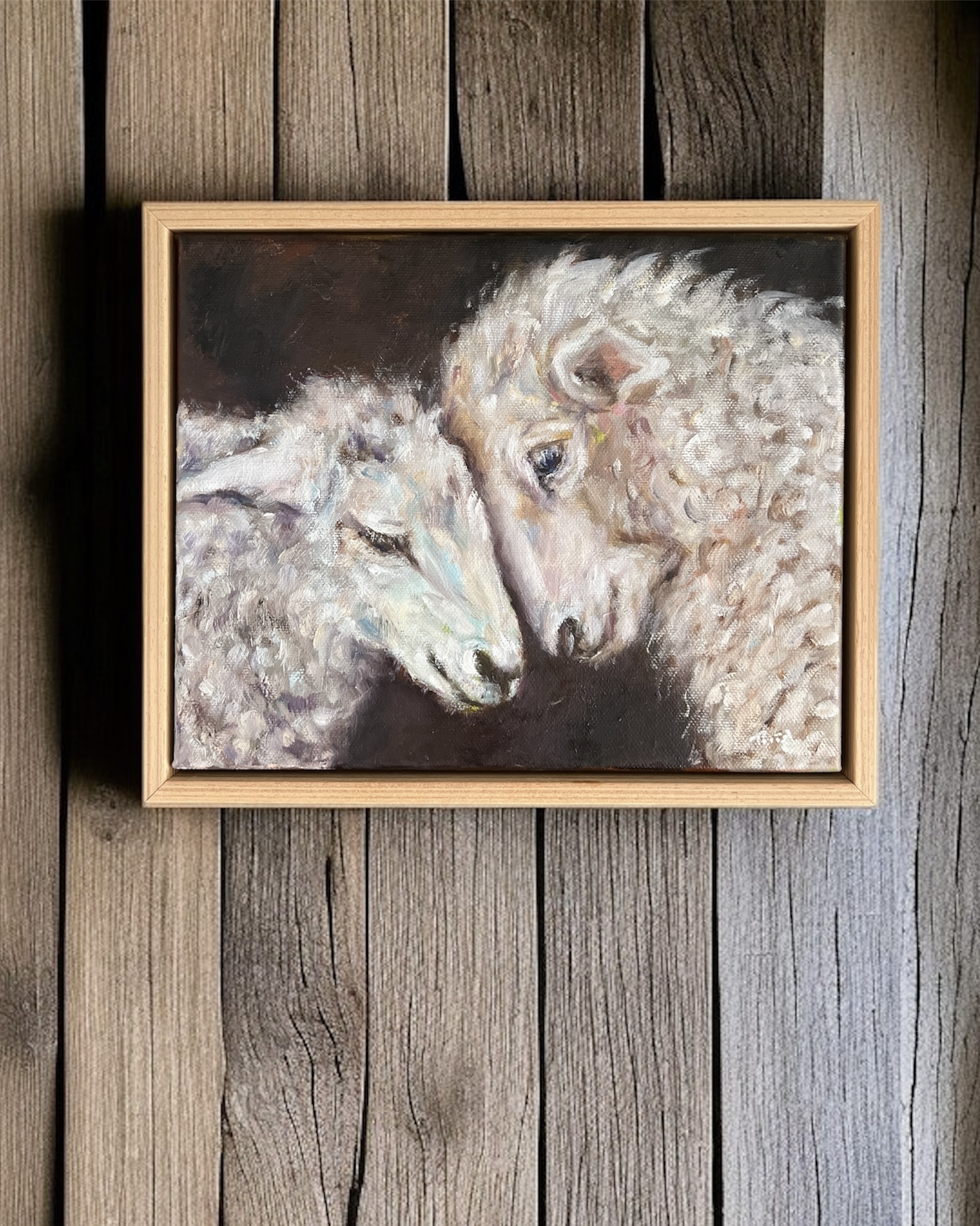 Photoroom 20260112 131956