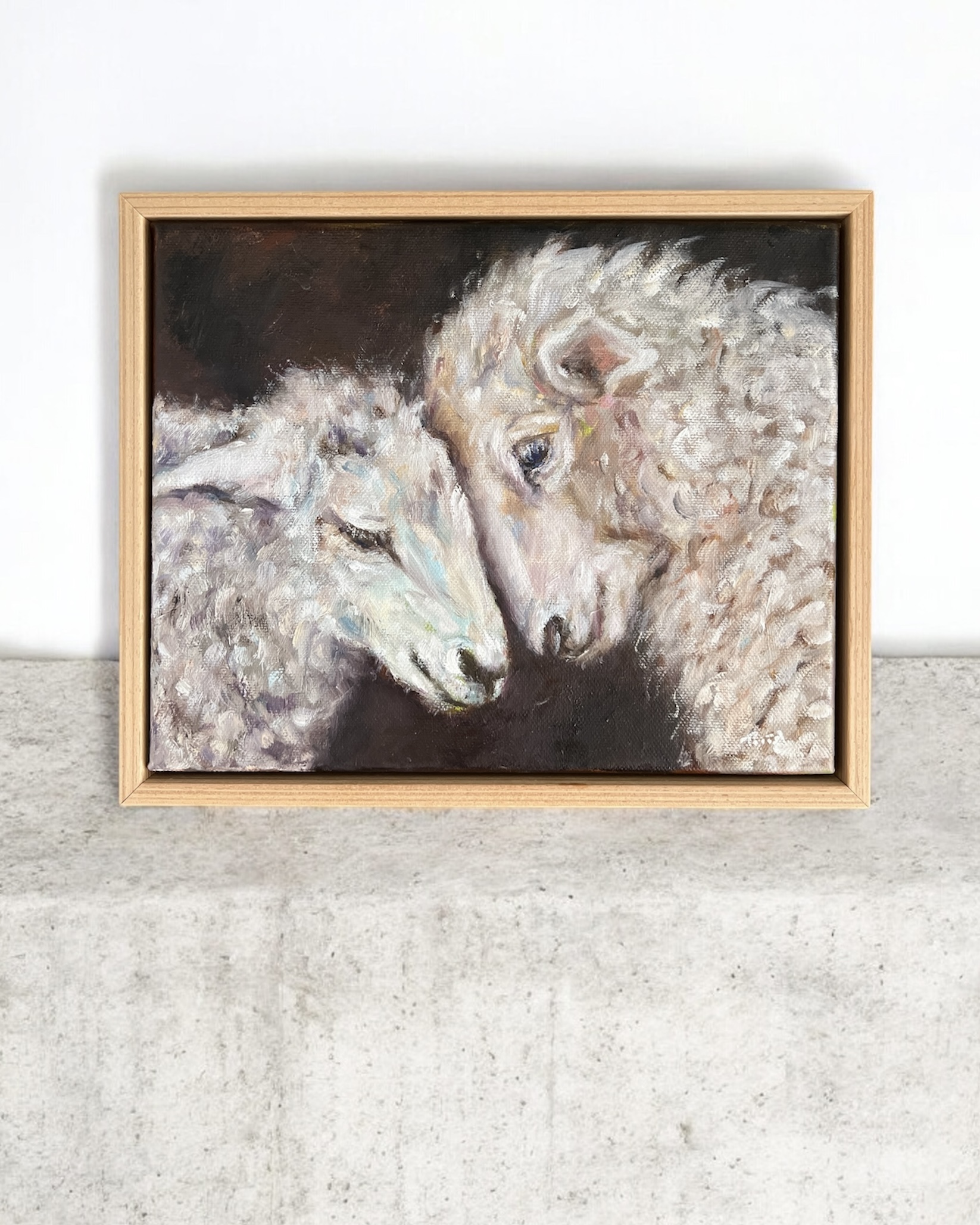 Photoroom 20260112 132130