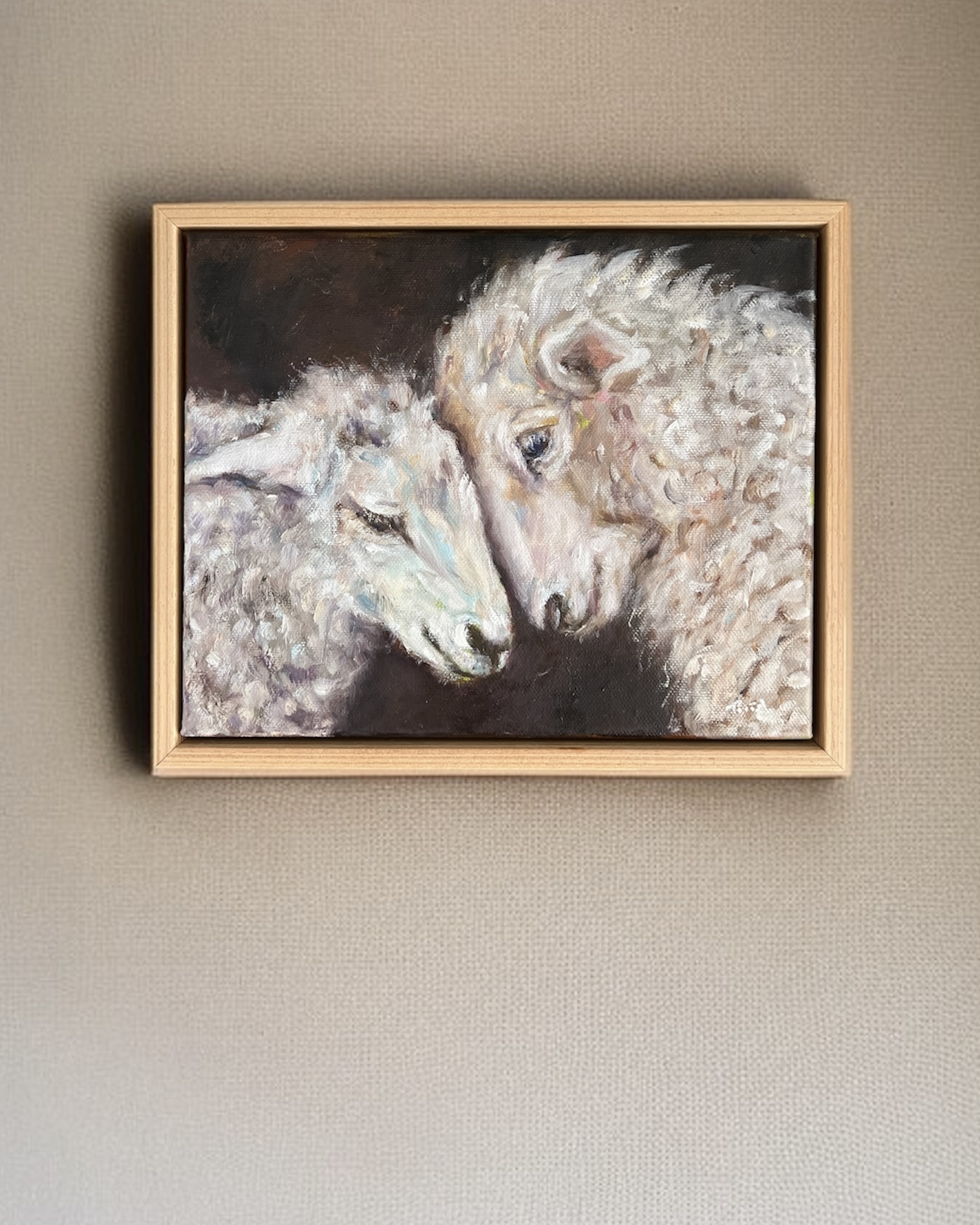 Photoroom 20260112 132510