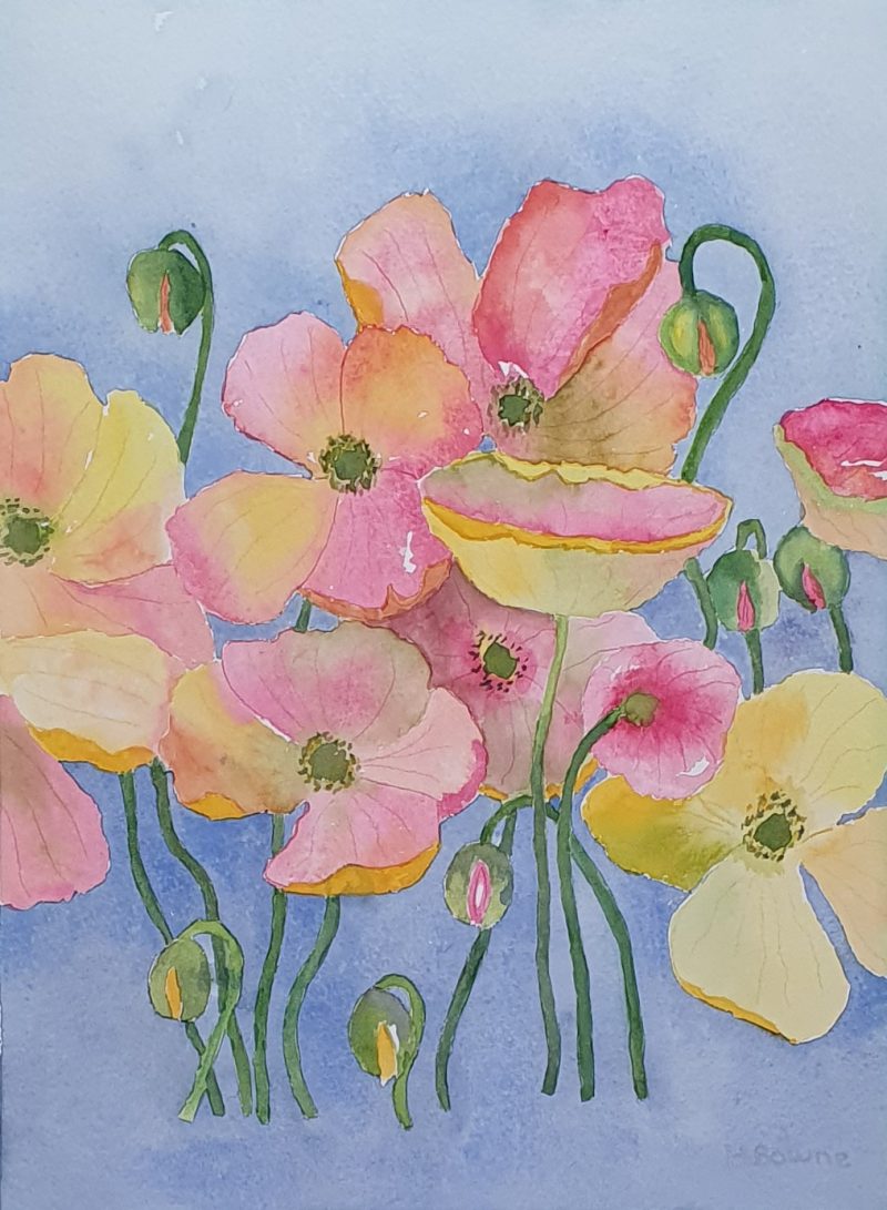 Field of Poppies SOLD