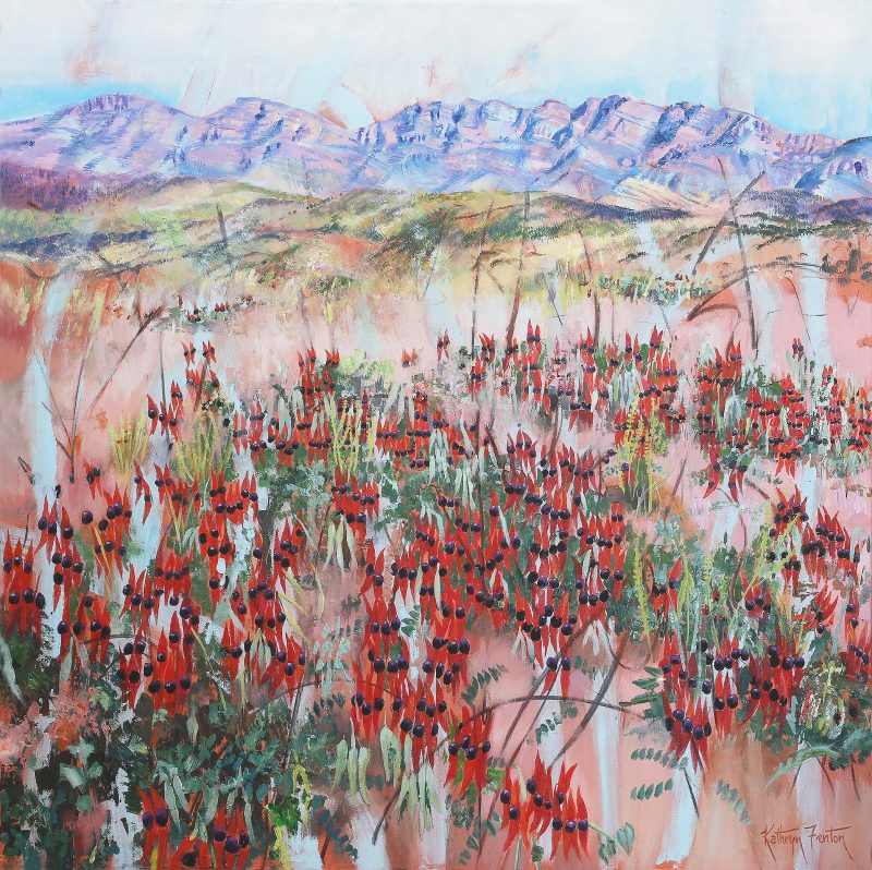 Desert Peas, Flinders