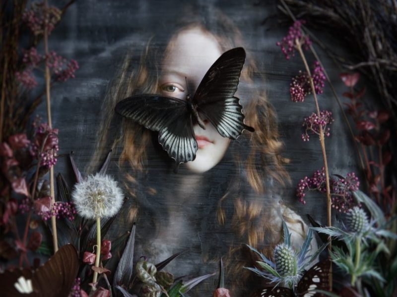 Greenhouse Reveries Plate 6 Web 1024x1024