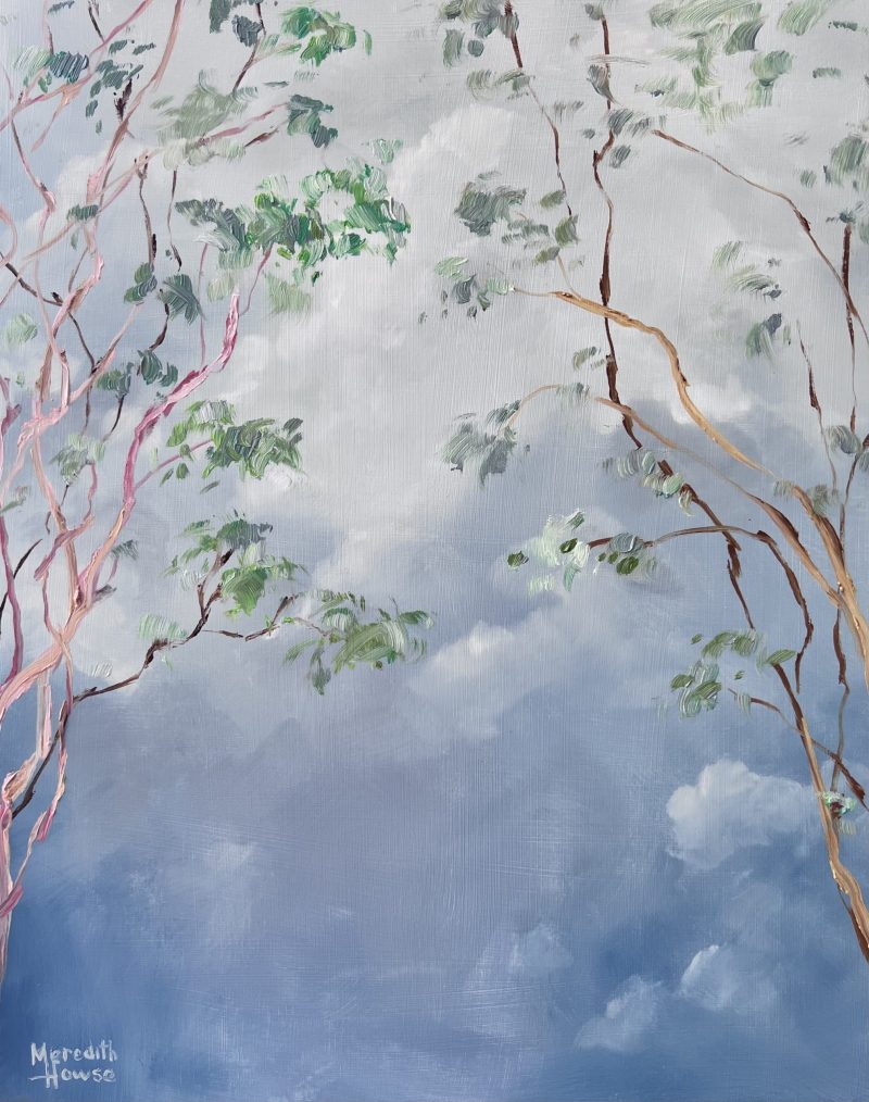 Illumination Gum Tree Clouds