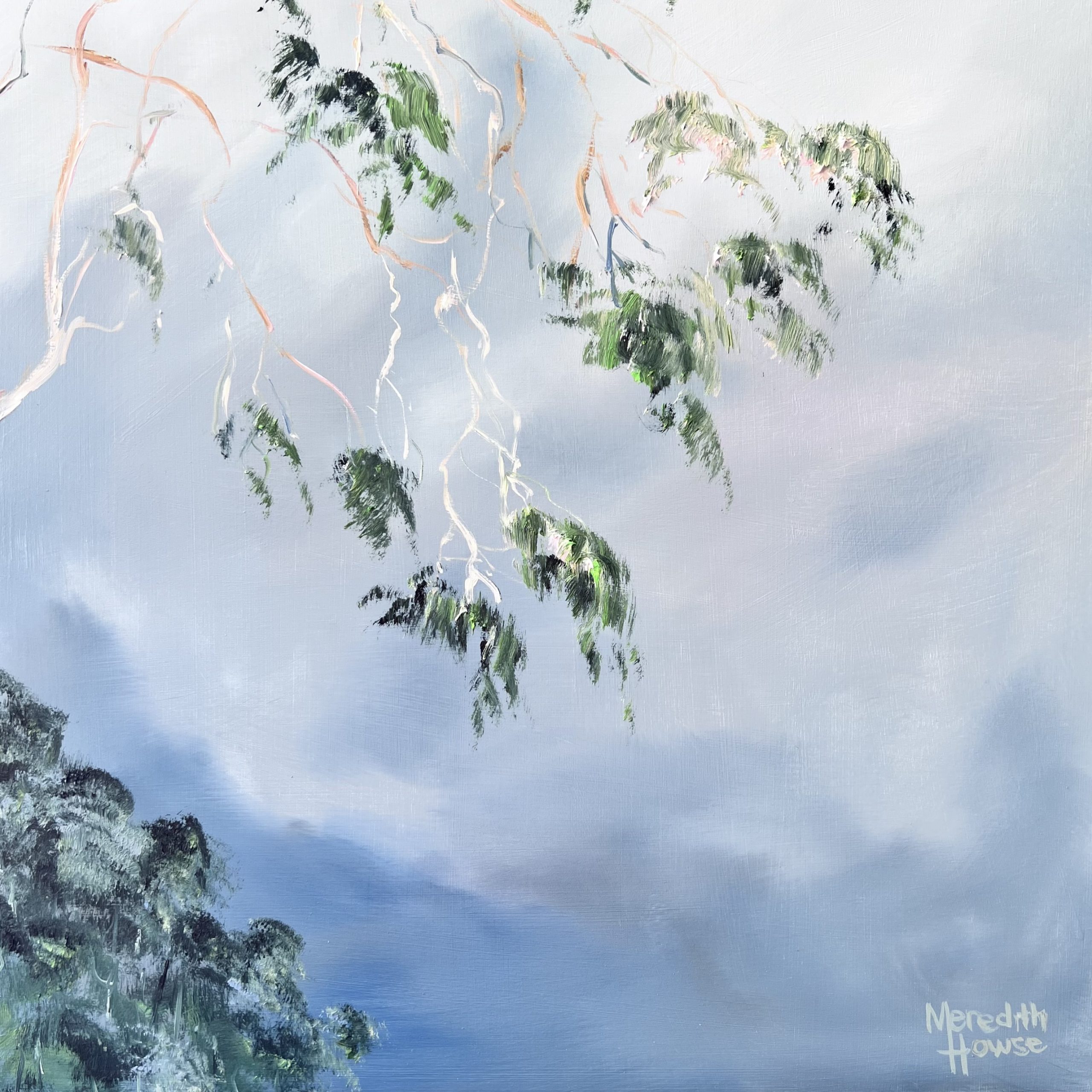Illumination Gum Tree Sky By Meredith Howse Close Up