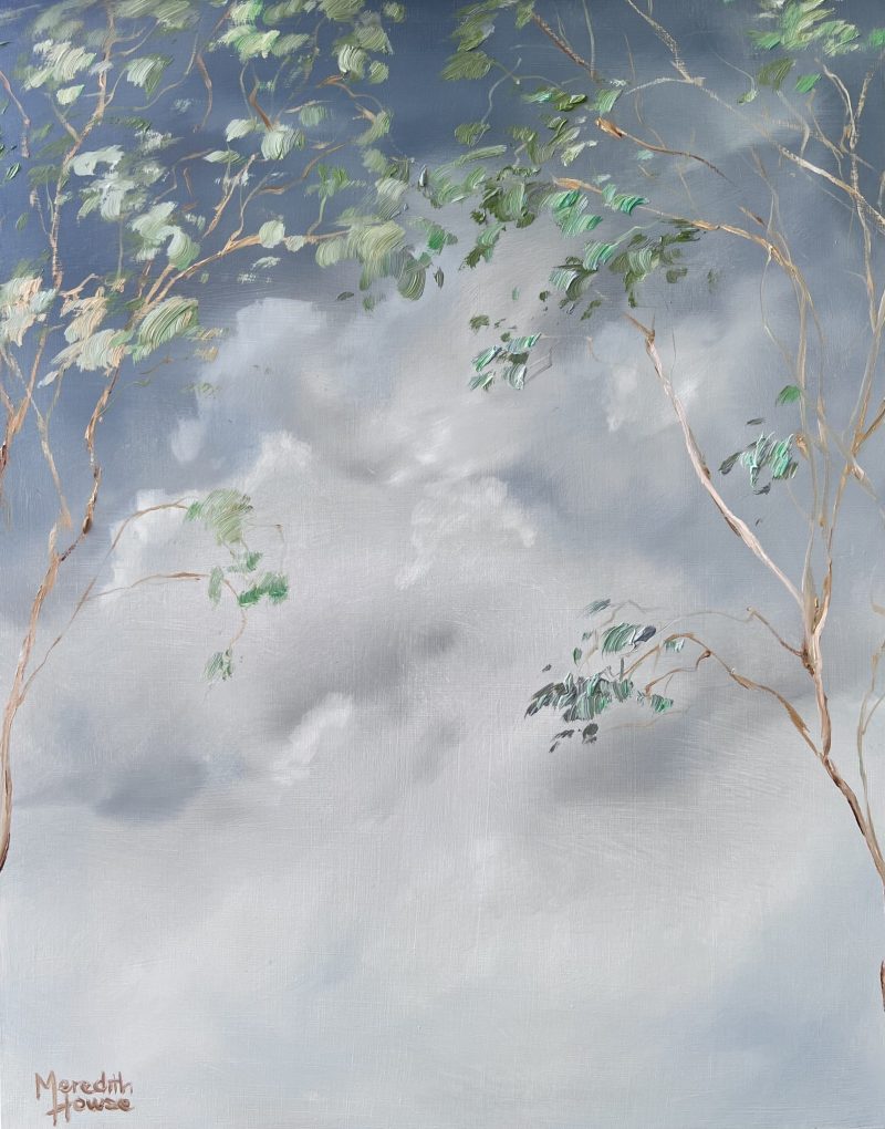 Illumination Gum Leaf