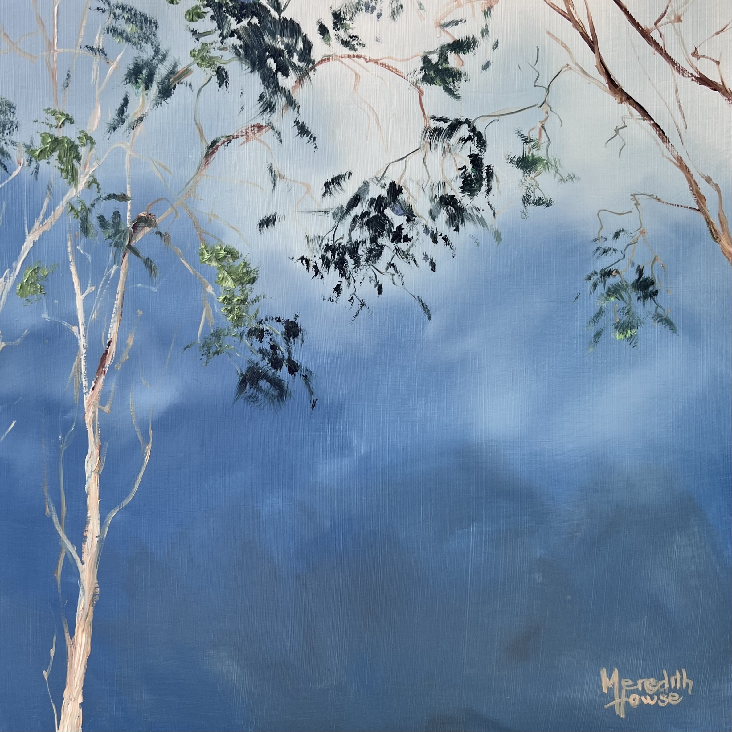 Illumination Gum Leaves Close Up