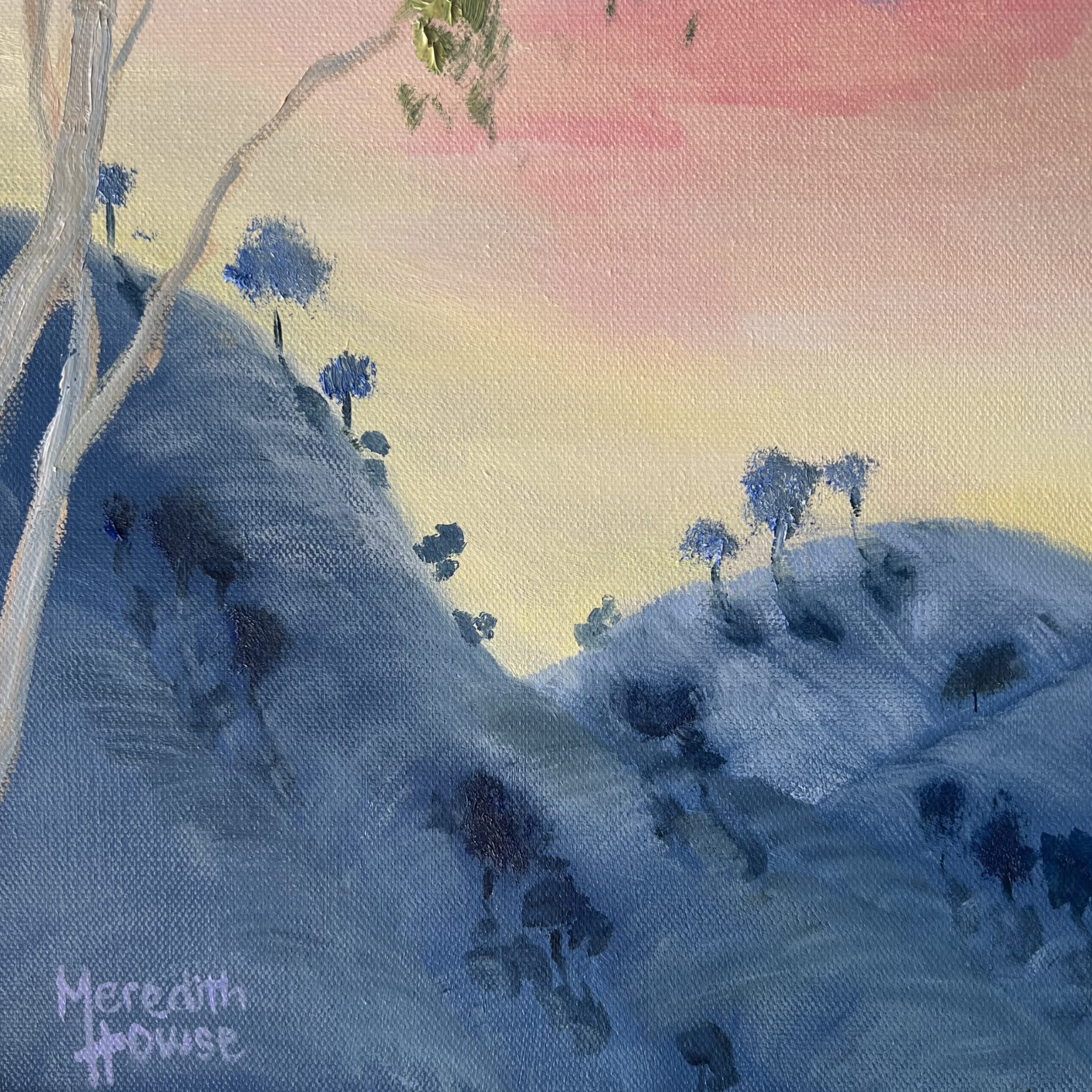 Illumination Jacaranda Hills Close Up