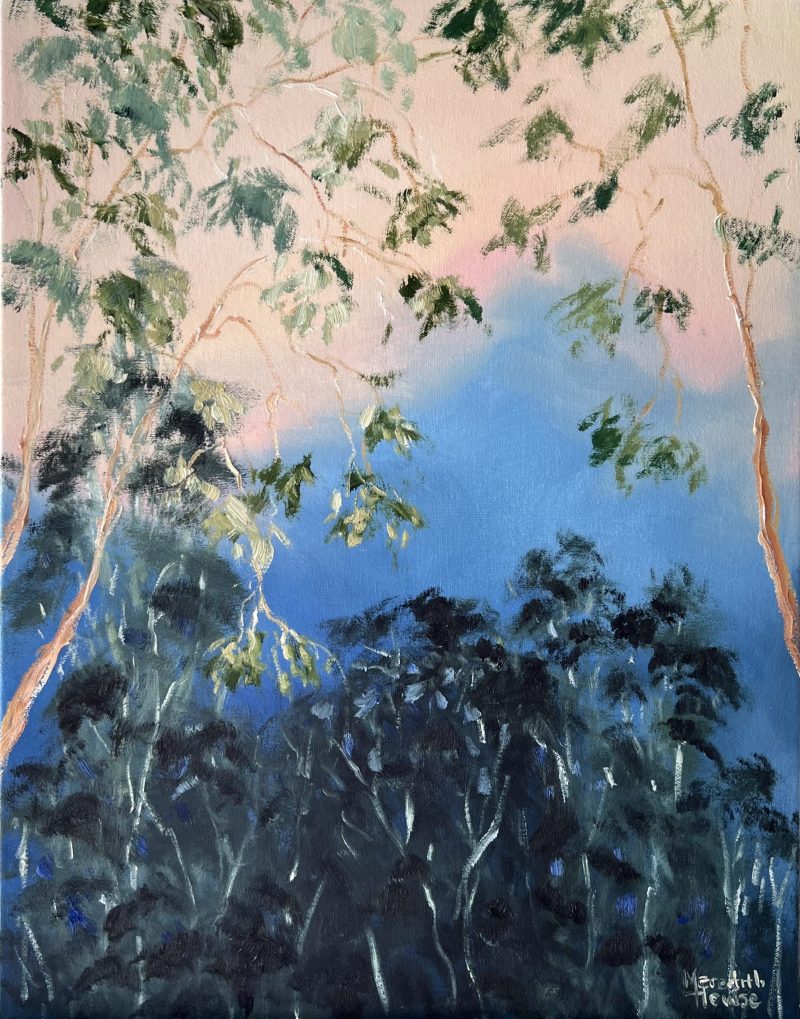 Illumination Timbertops