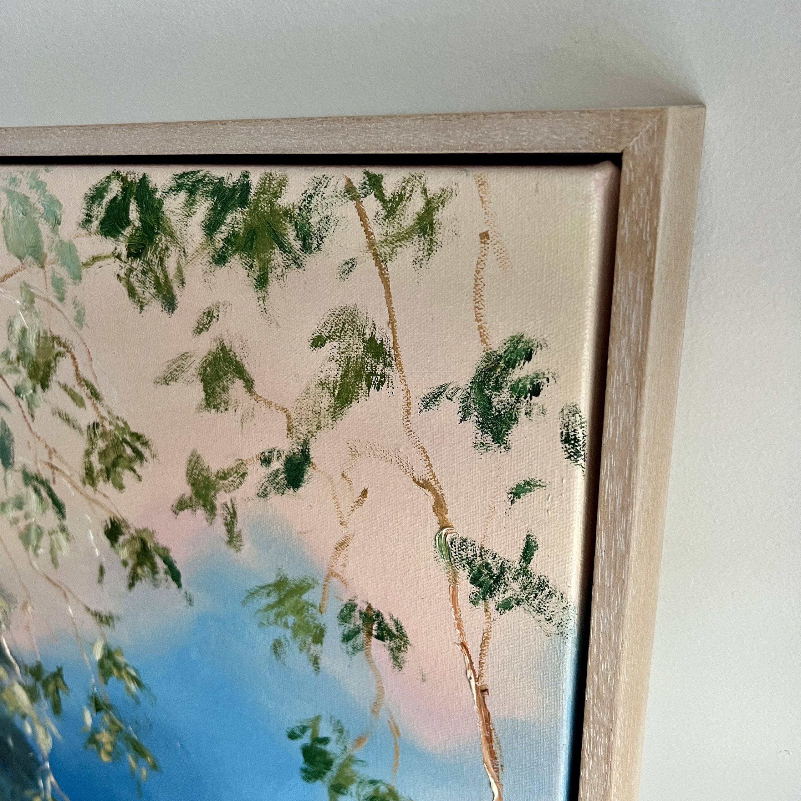 Close Up Illumination Timbertops By Meredith Howse