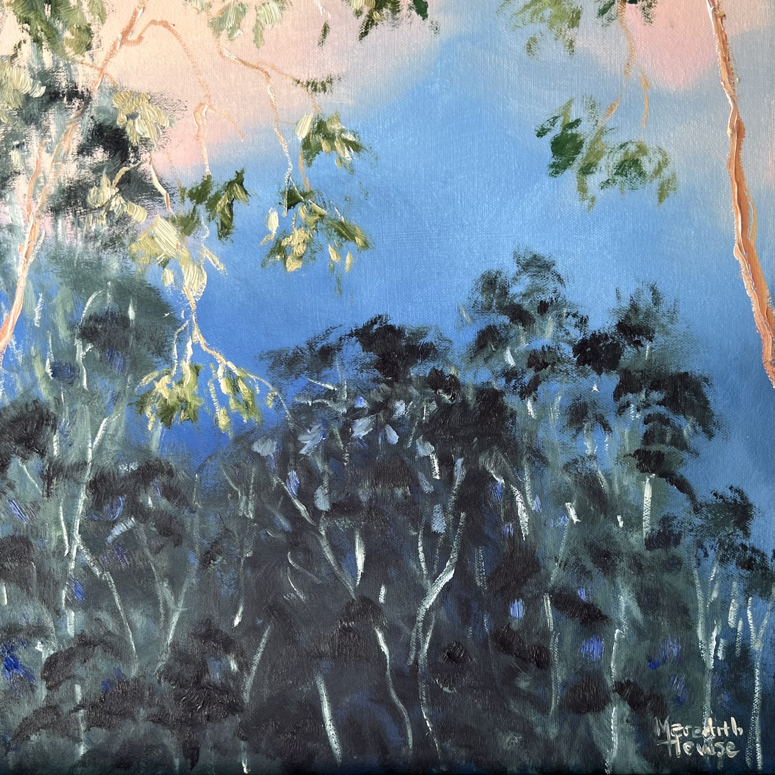 Illumination Timbertops Close Up