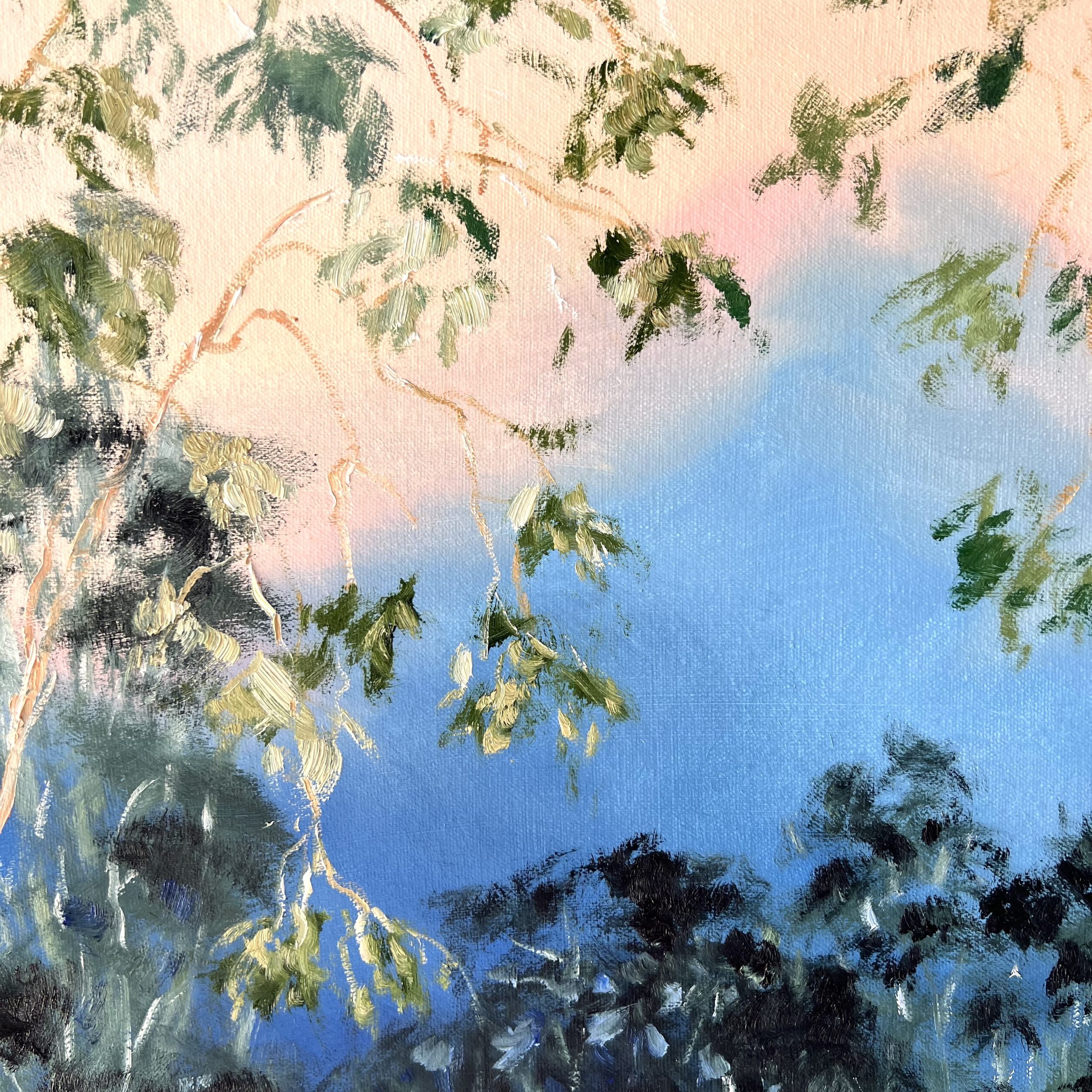 Illumination Timbertops Close Up 2