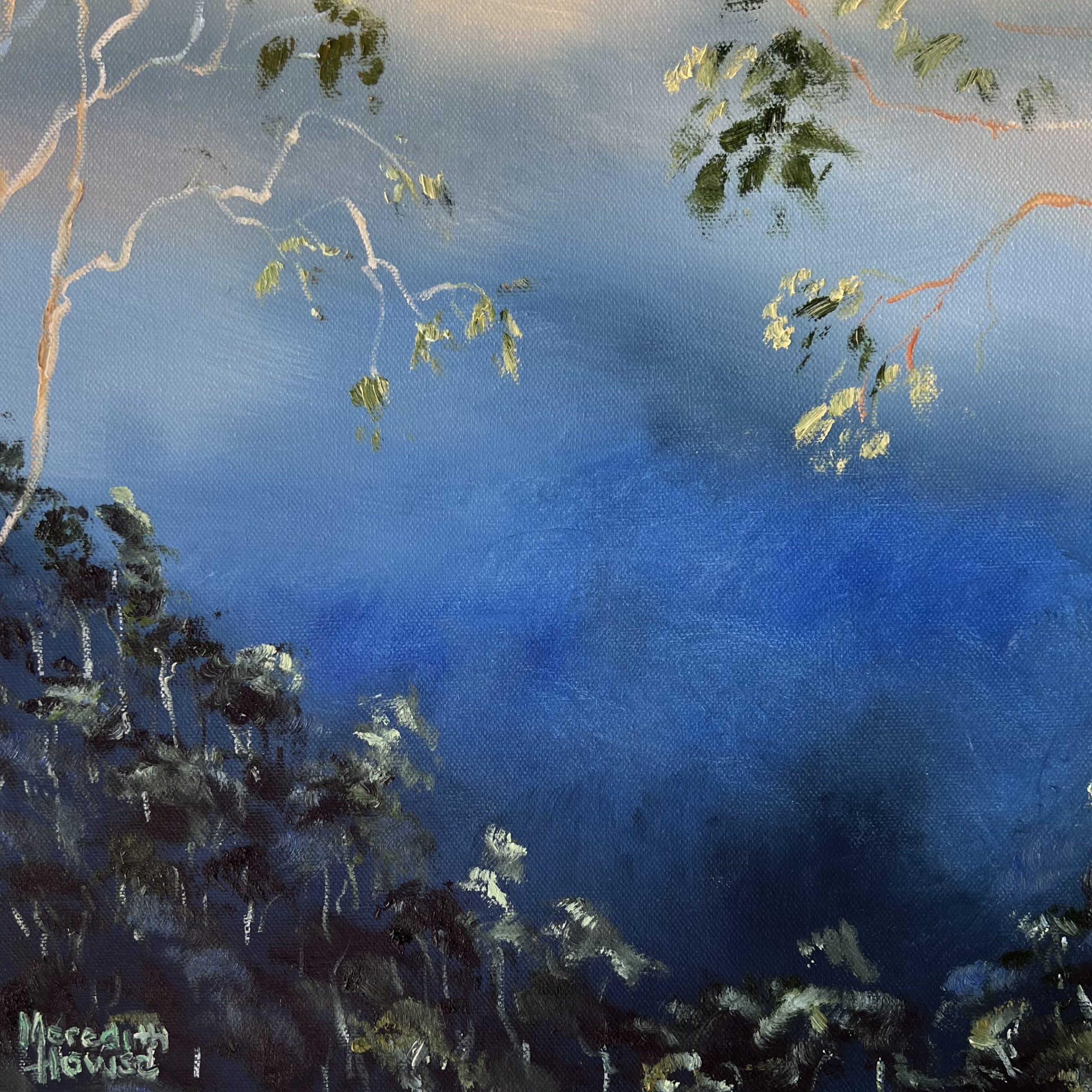 Illumination The Range Close Up