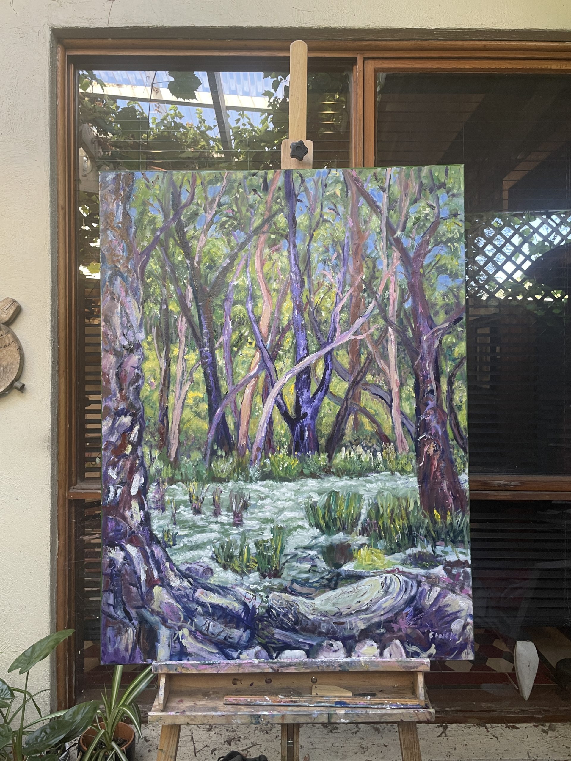 Gum Treees Lining The Creek Studio View