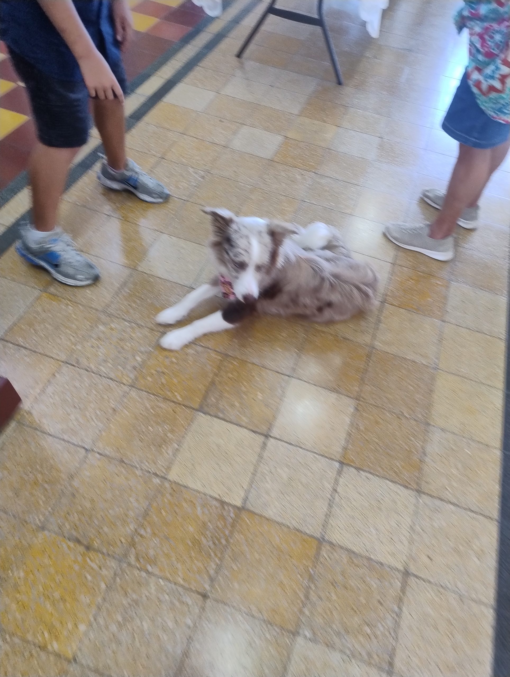 Img 20251206 145004258