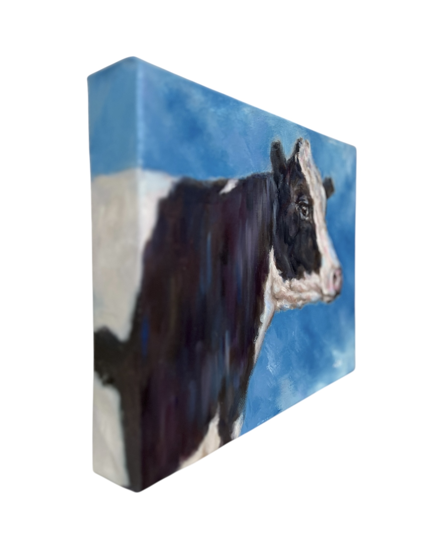 Photoroom 20260114 093502