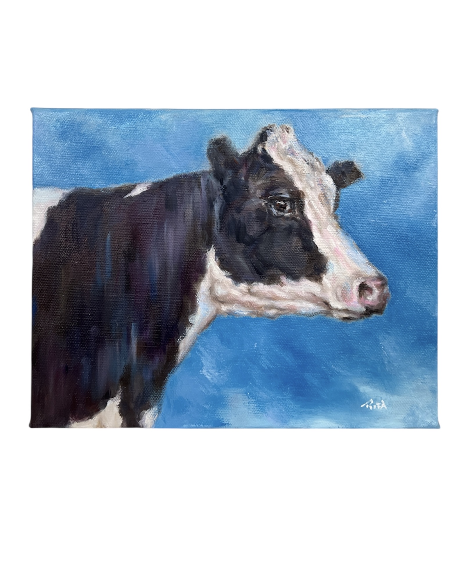 Photoroom 20260114 093548