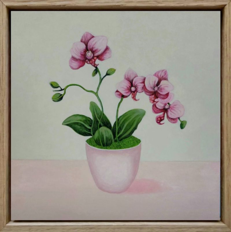 Eileen’s Pink Orchid