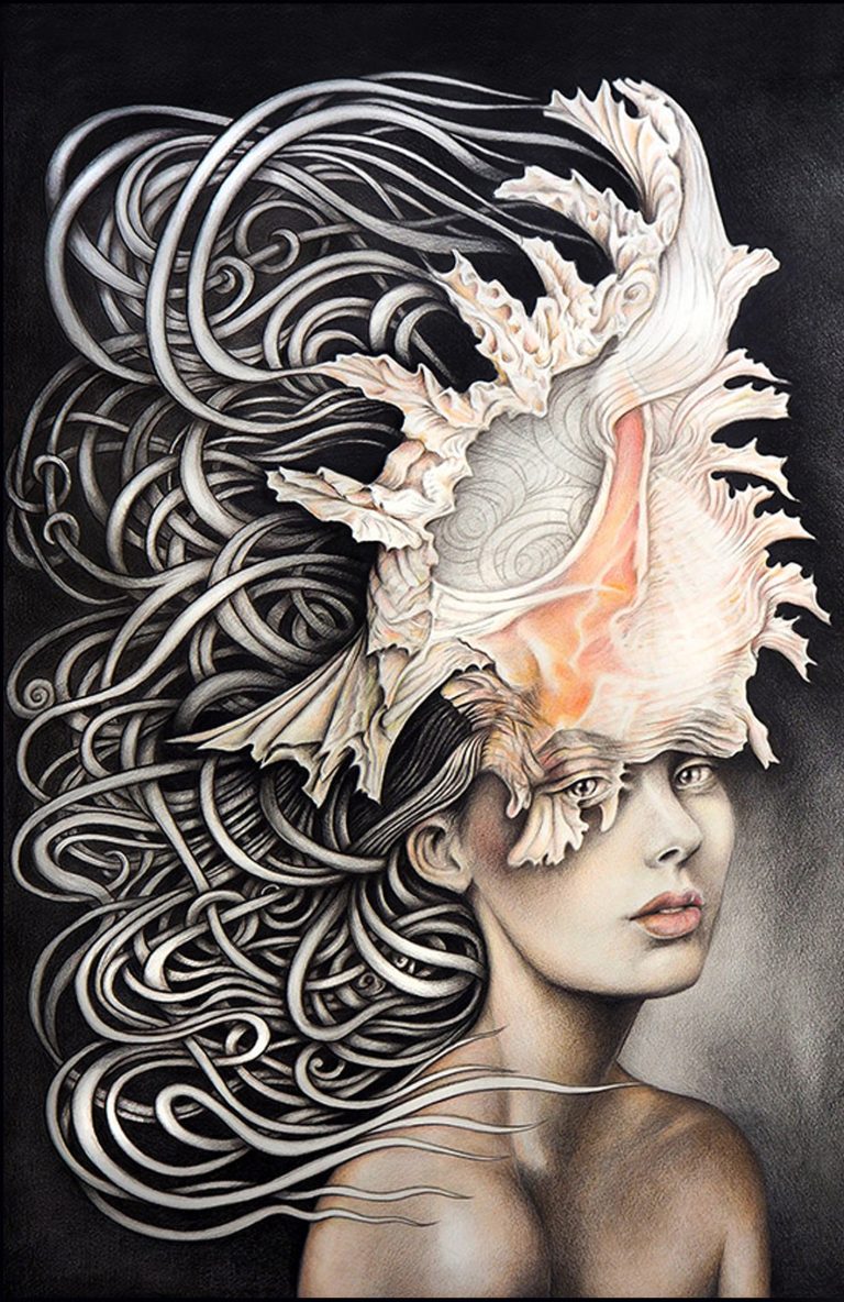 Rose Murex Dreaming (Canvas)