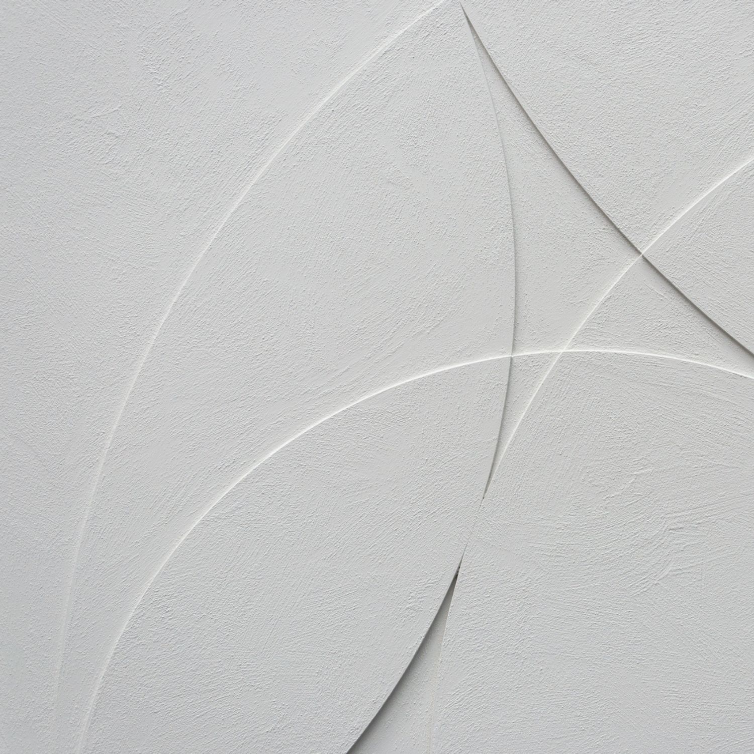 New Moon Sureen Gouws 4