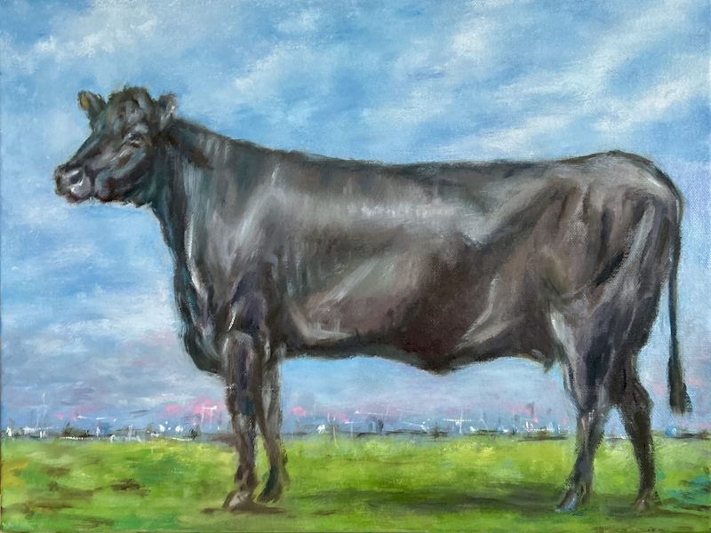 Between Sky and Field