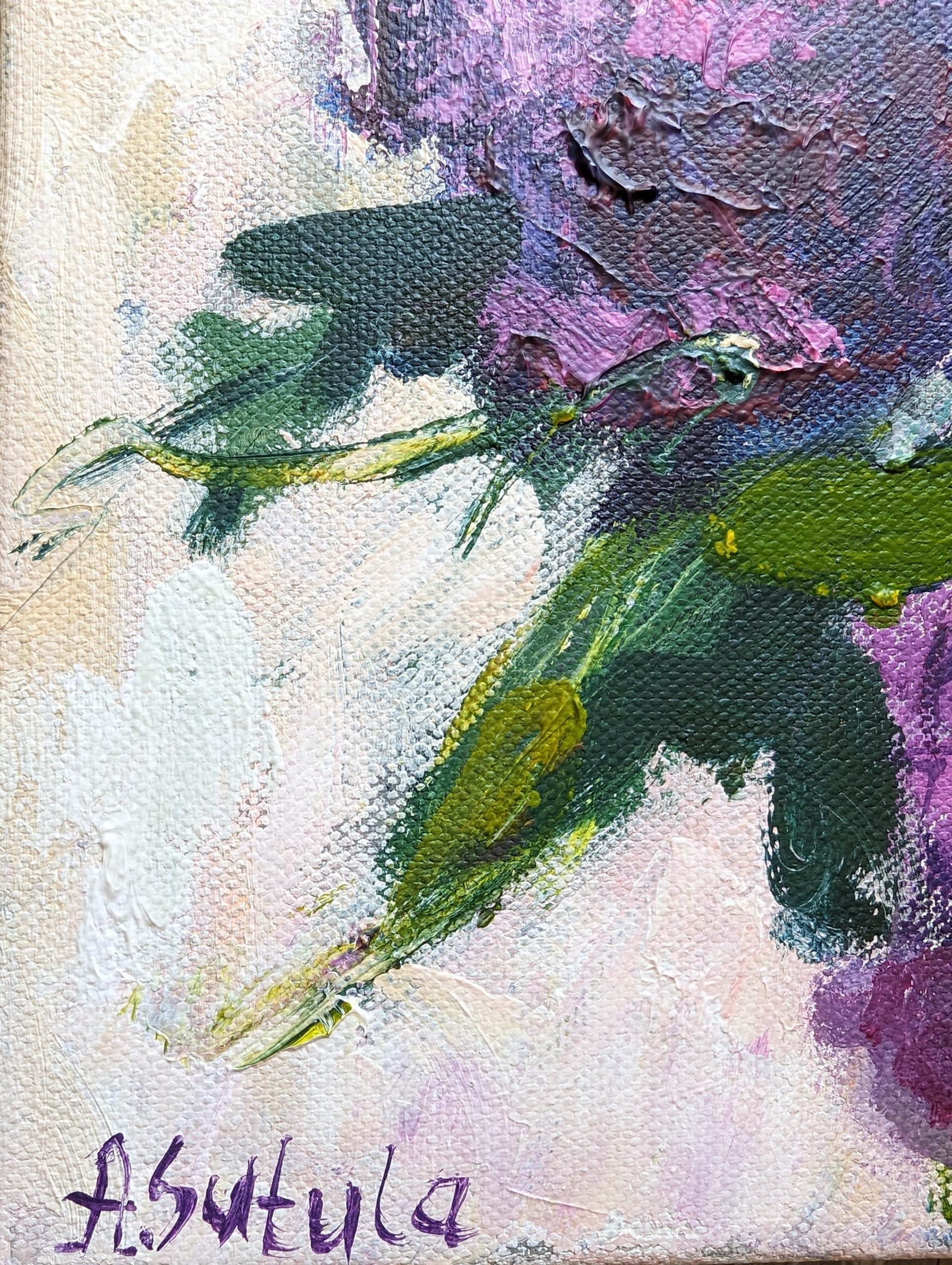 Pxl 20250210 024433711