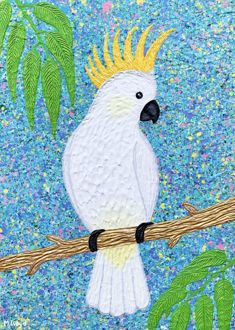 Sulphur Crested Cockatoo Hello Cocky