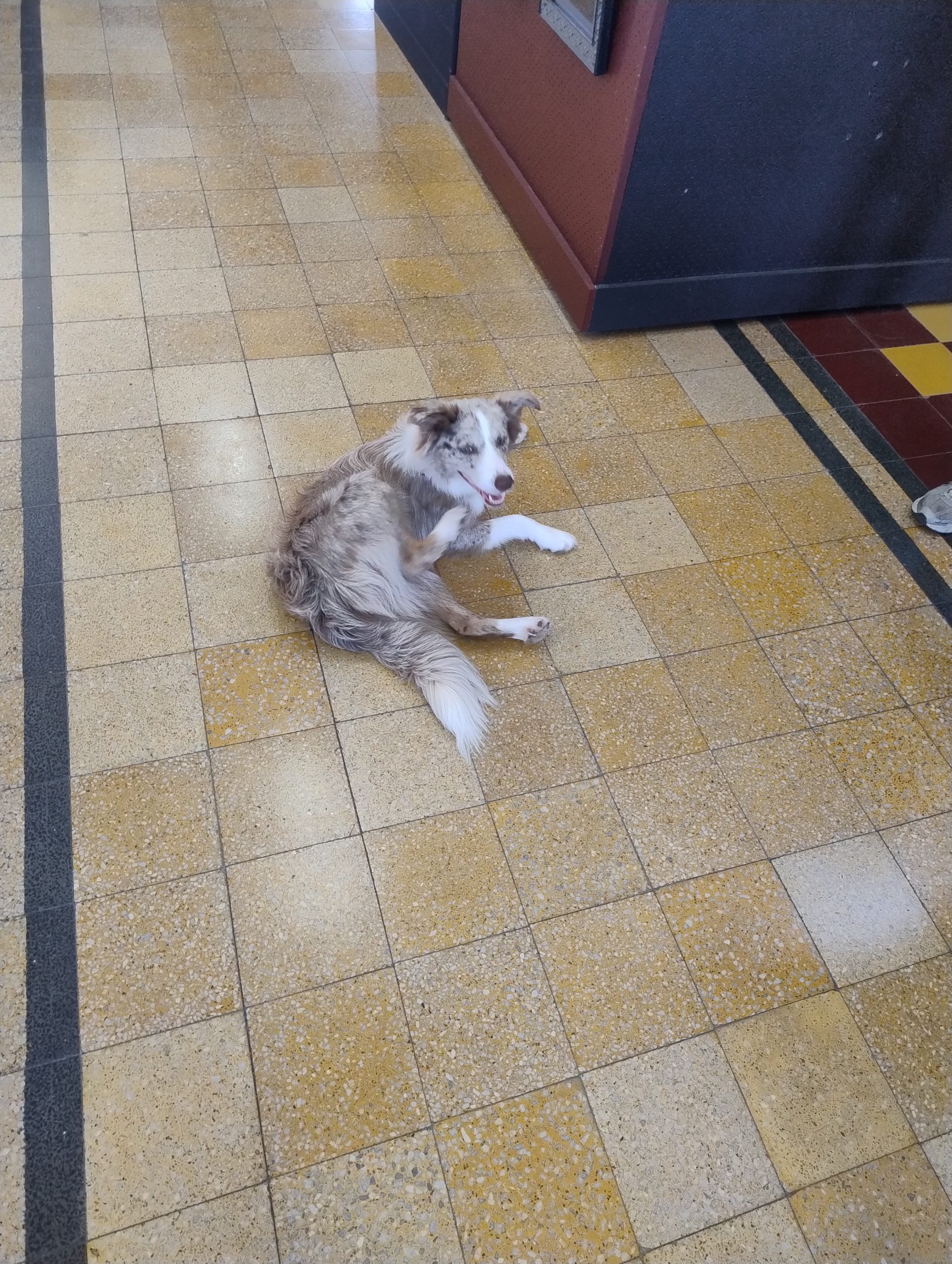 Img 20251206 145023888