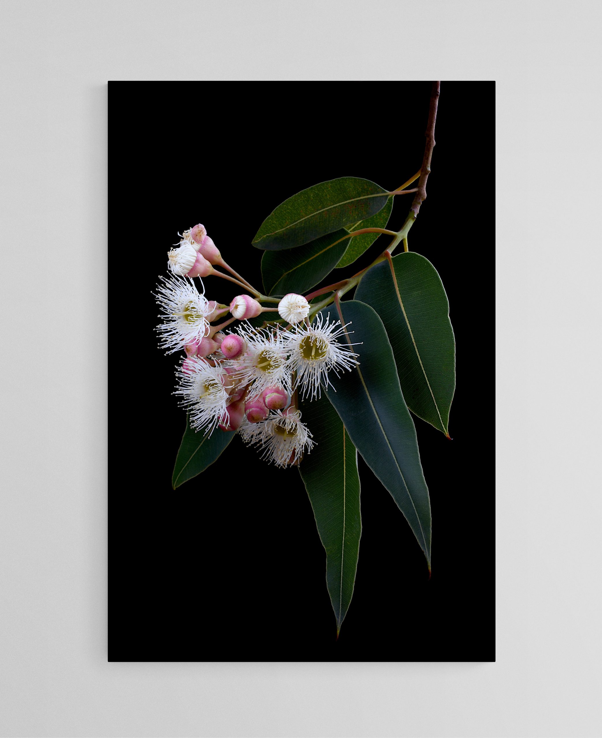 Empty Room 2026 01 25t174706.802