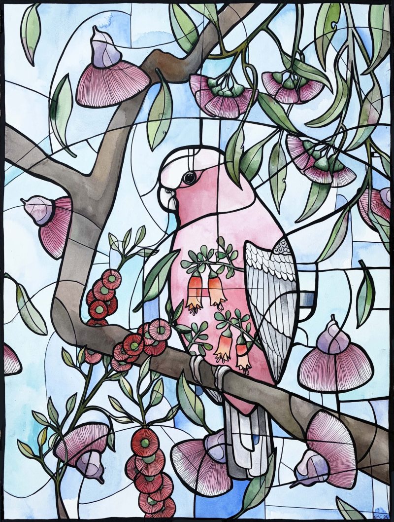 Botanical Galah
