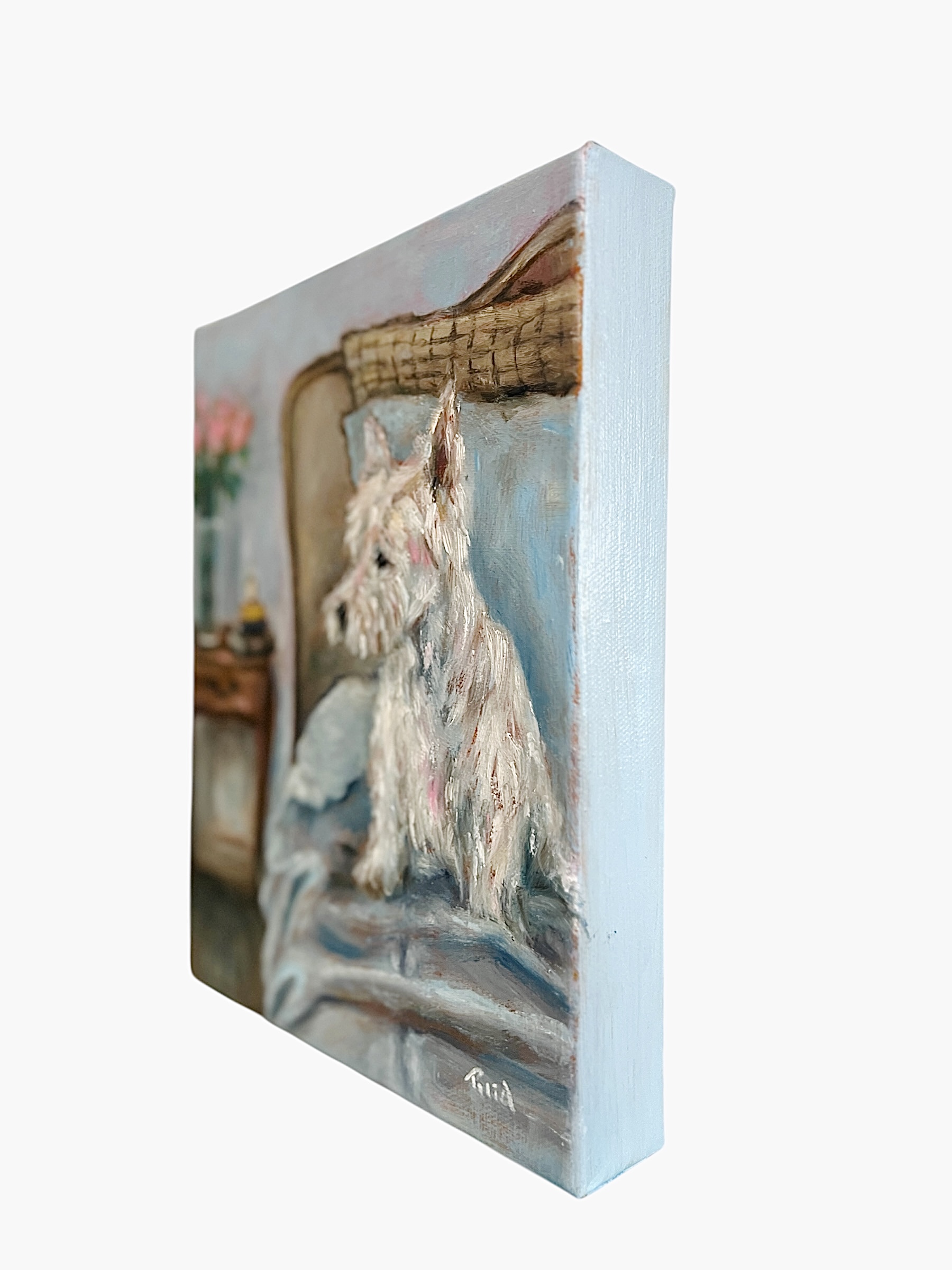 Photoroom 20260128 173518