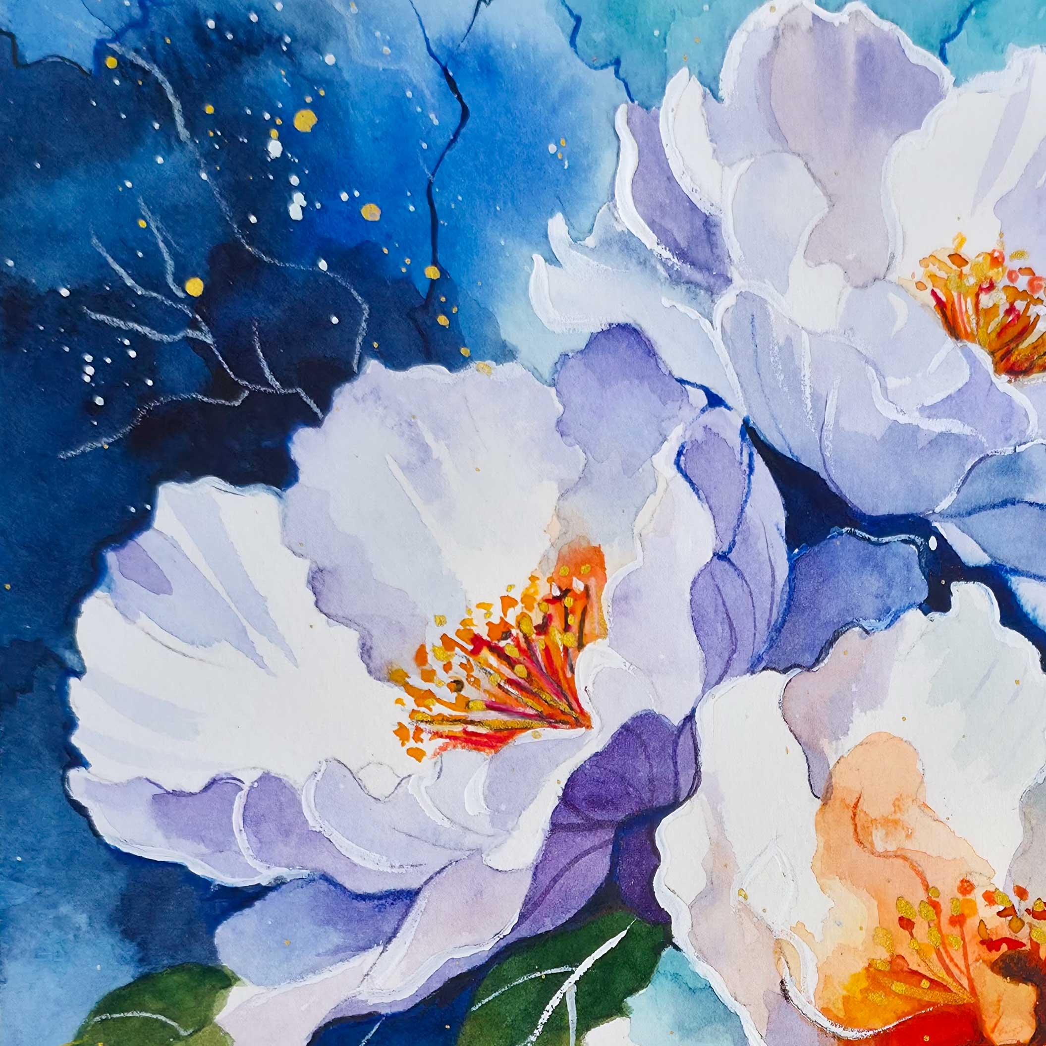 A Softness In Bloom3