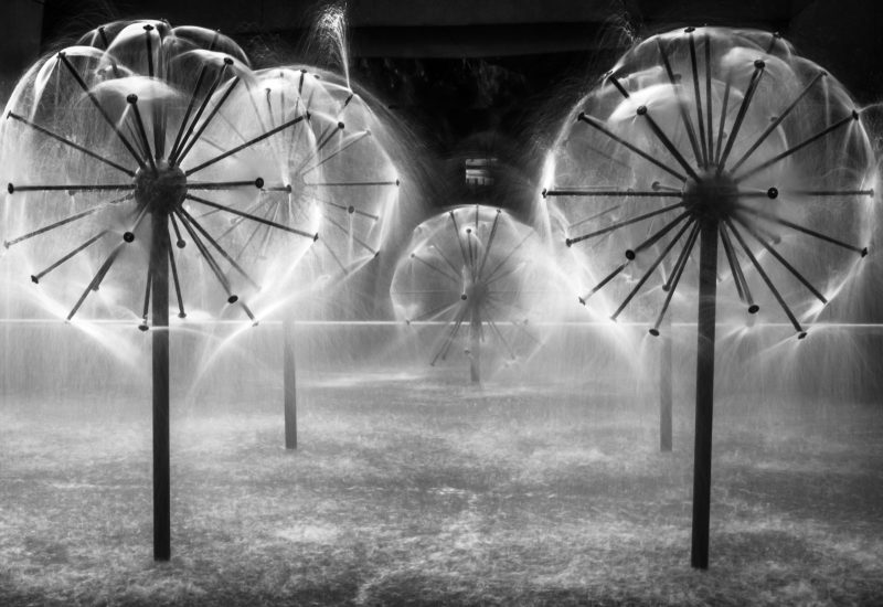Dandelion Fountain