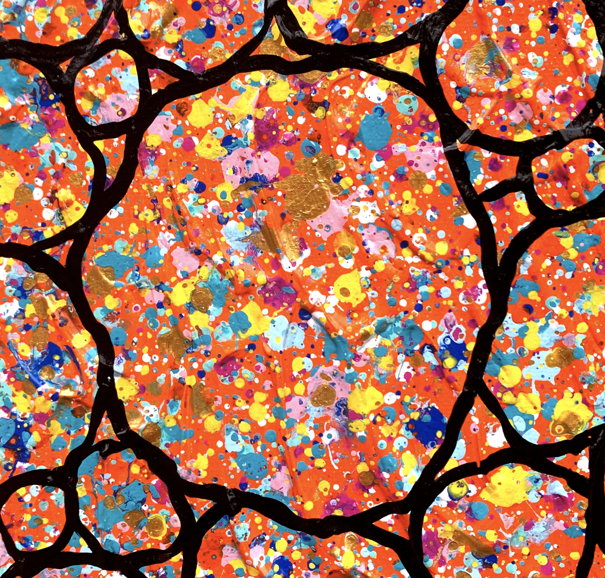 Close Up 2 Abstract Landscape Outback Australia Pebbles Miranda Lloyd