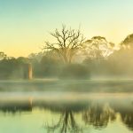 User 32994 Norma Martiri 2026 01 31 T 01 10 00 155 Z Old Farm Mist Copy.jpg