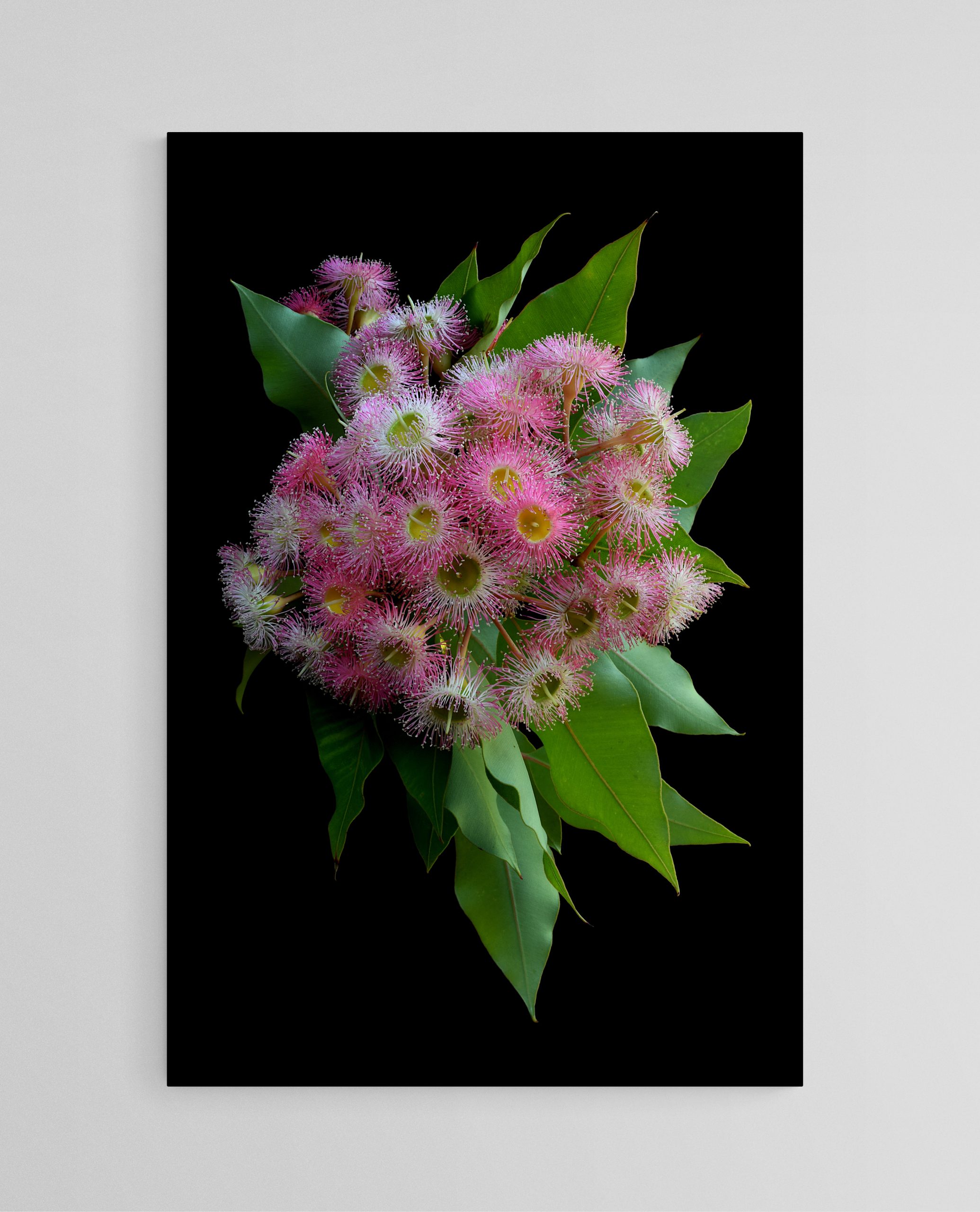 Empty Room 2026 01 29t145836.354