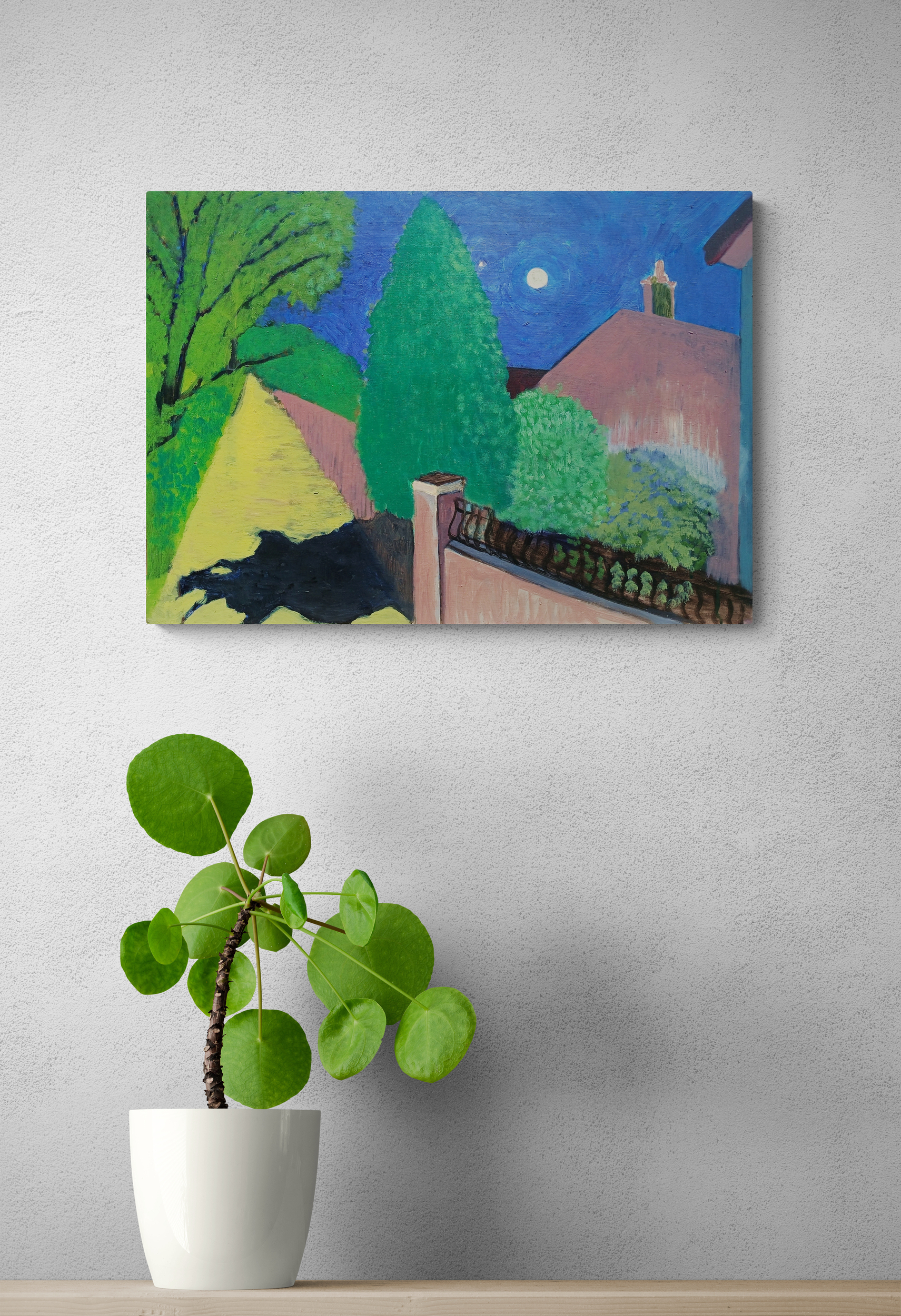 Leafy Potted Plant On A Wooden Bench