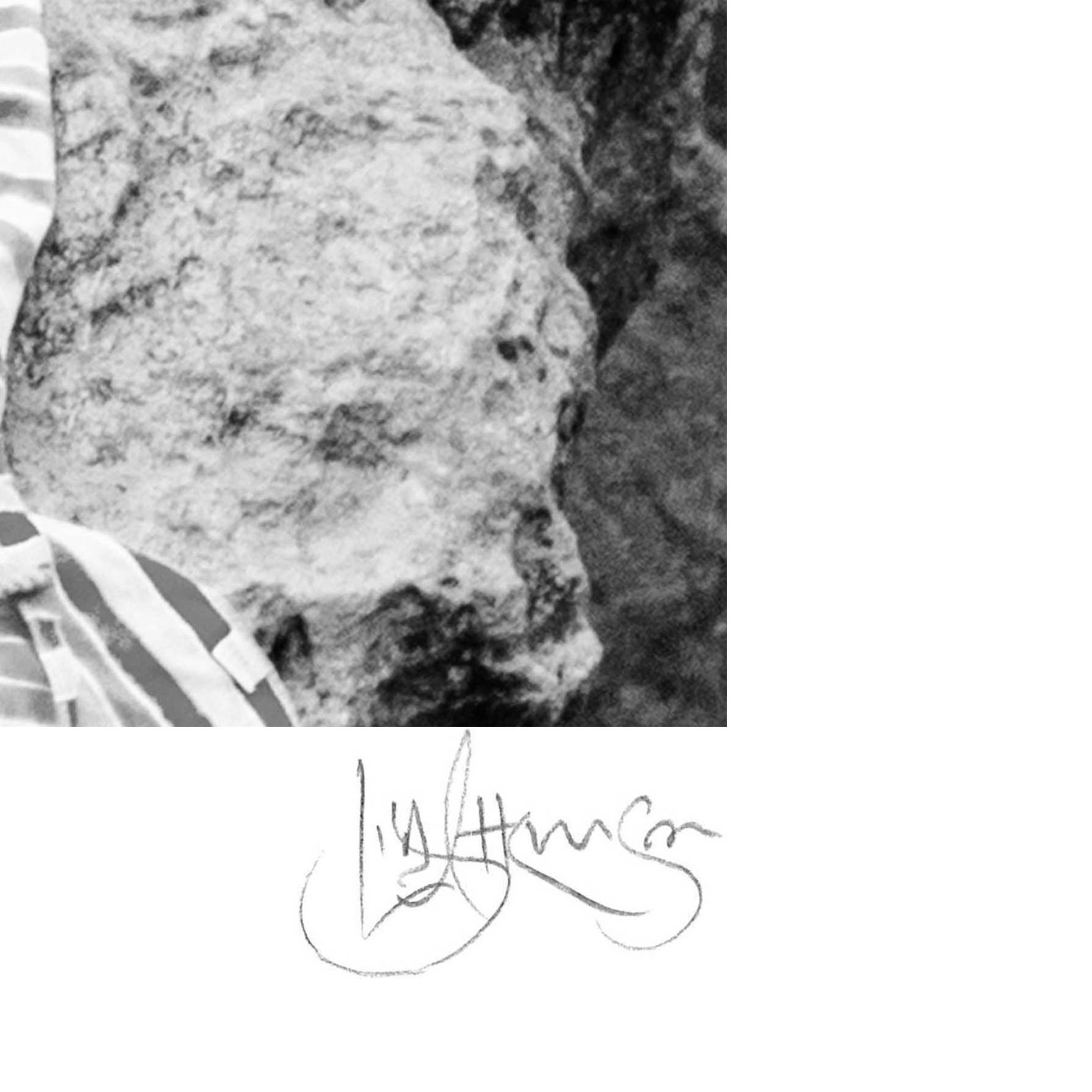 Pillars Picnic Sig Crop (square)