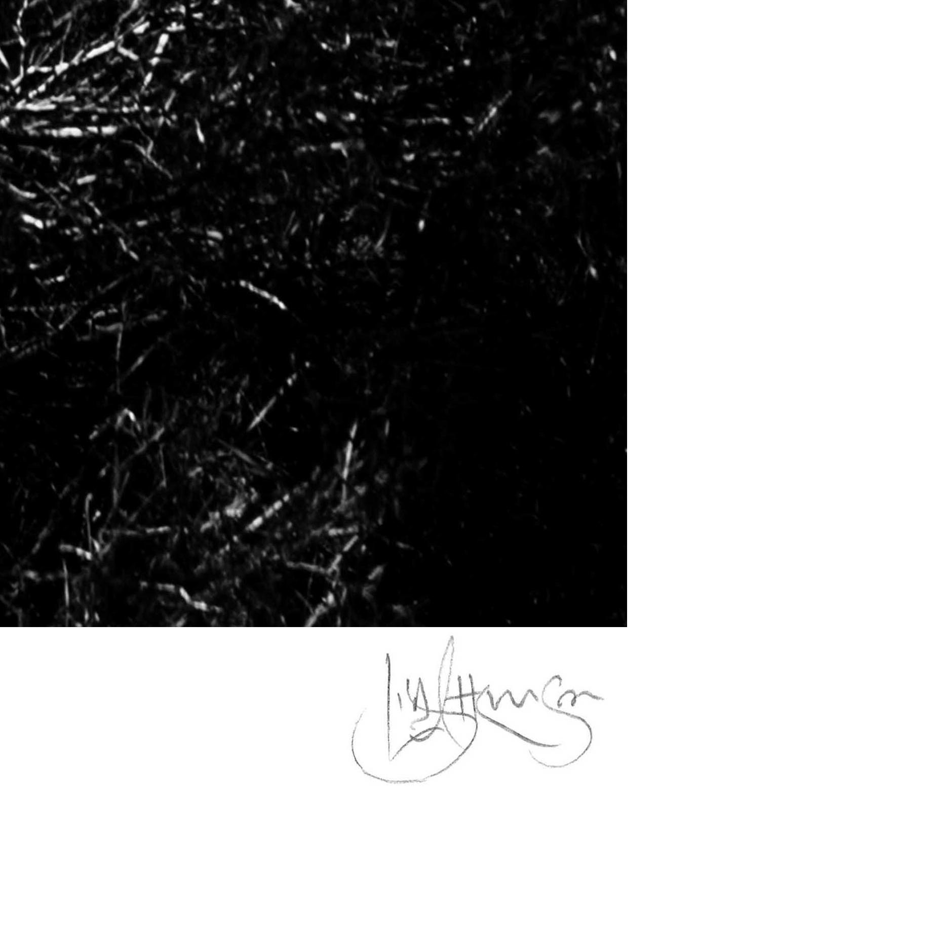 Beach Cricket Bw Sig Crop (square)