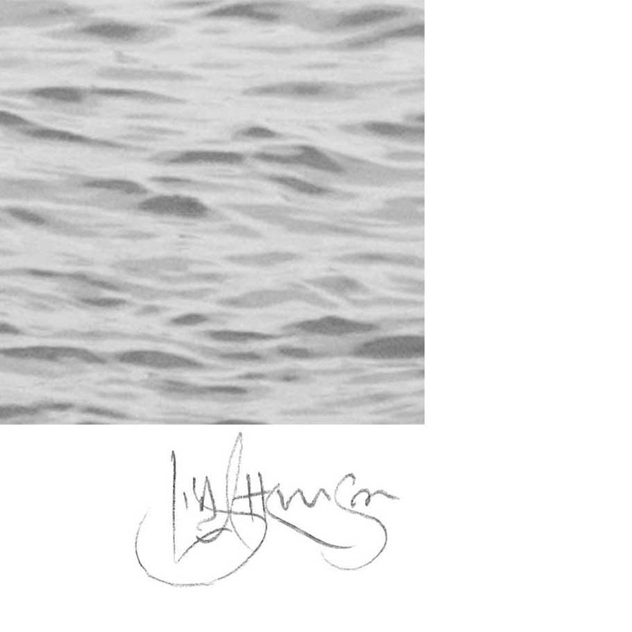 Flipping Out, Mt Martha Pillars Bw Sig Crop (square) Web