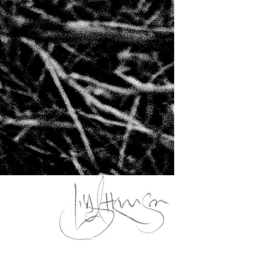 To Beach, St Andrews 2015 Sig Crop Web