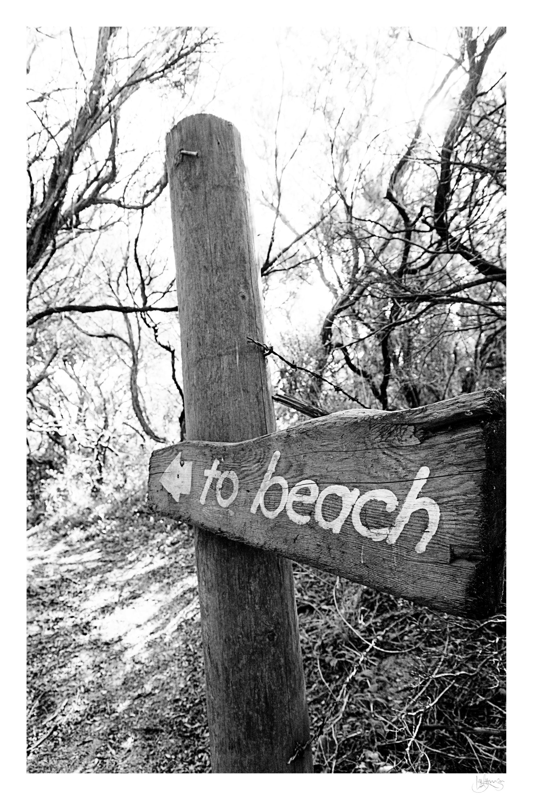 To Beach, St Andrews 2015 Web