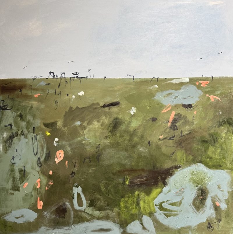 Wetlands – The Haven