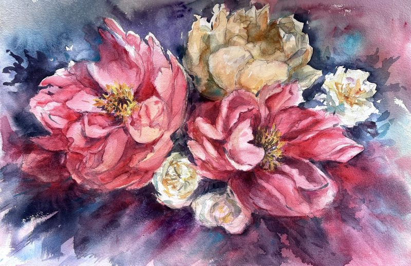Pink Peony