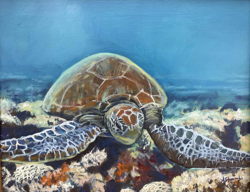 Drifting Turtle