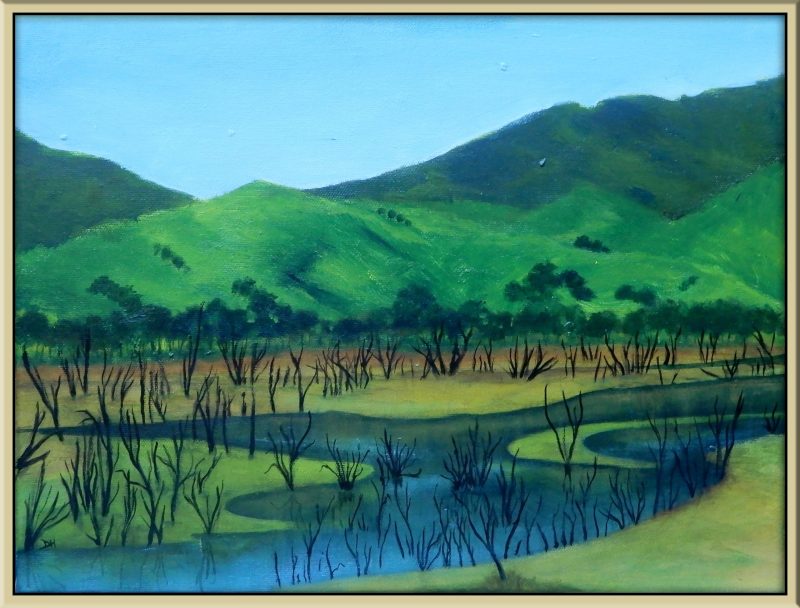 High Country Wetland